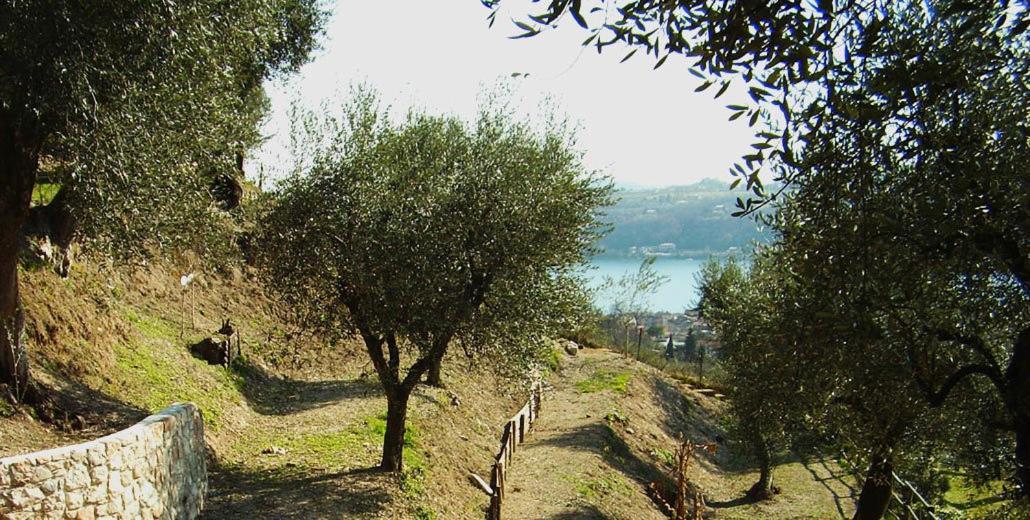 Agriturismo Villa Bissiniga Salò Exteriér fotografie